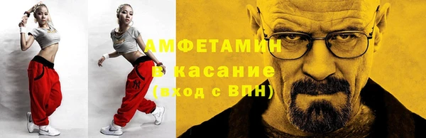 прущие грибы Карпинск