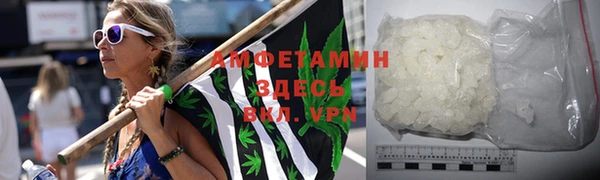 прущие грибы Карпинск