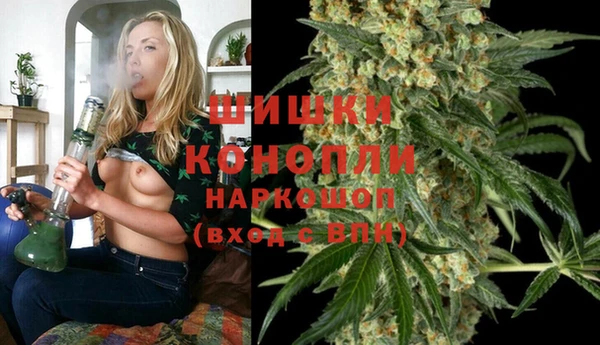 прущие грибы Карпинск