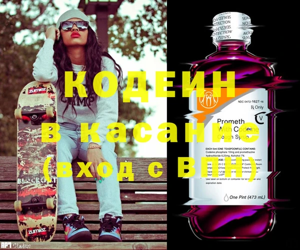 прущие грибы Карпинск