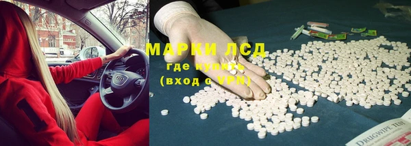 прущие грибы Карпинск