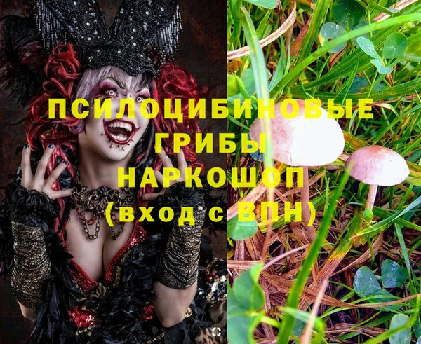 прущие грибы Карпинск