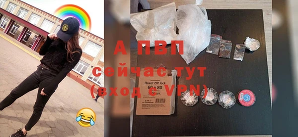 прущие грибы Карпинск