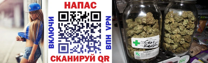 Купить закладки  Приволжский  Конопля SATIVA & INDICA 